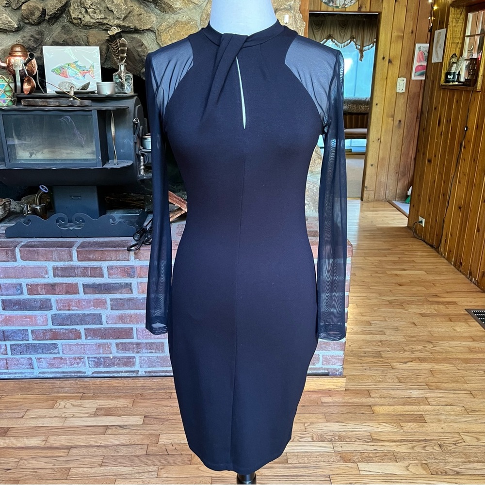 French Connection Black Long Sheer Sleeve Dress